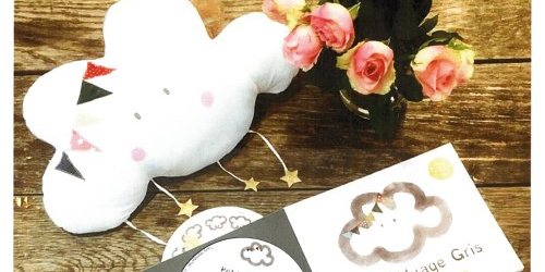 LIVRE + DVD en LS - PETIT NUAGE GRIS 